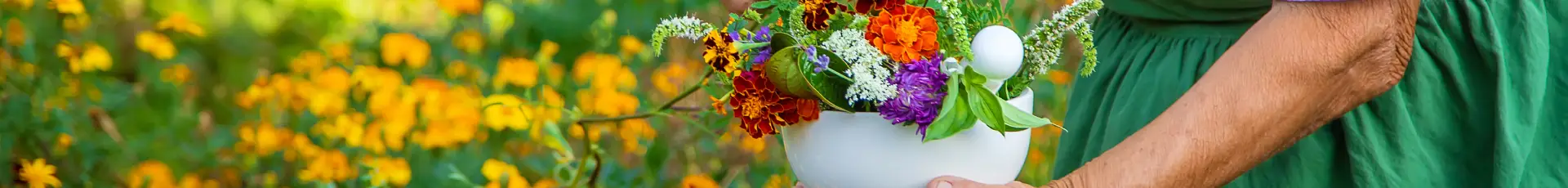 Îngrășăminte pentru flori